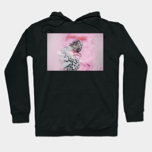 Rooster pinky / Swiss Artwork Photography Hoodie
